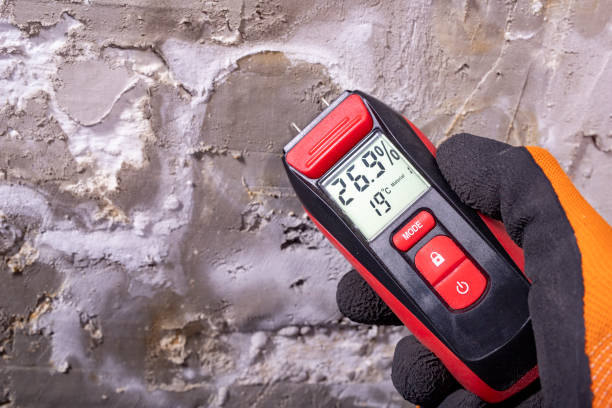 Best Mold Remediation for Specific Building Types in Franklin, TN